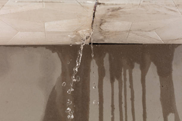 Professional Water Damage Repair technician working in Yaphank, NY